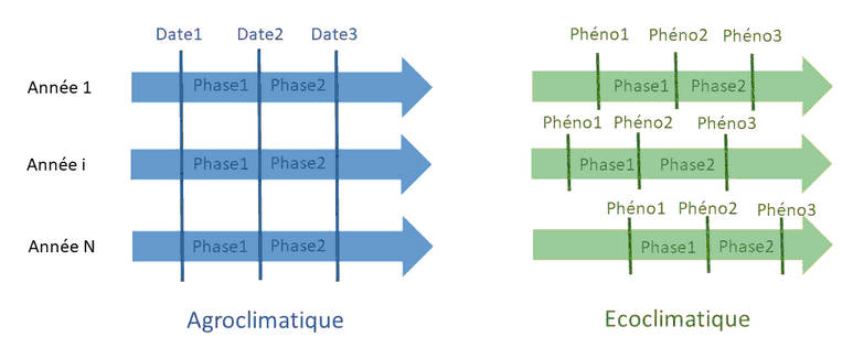 Différence entre les indicateurs agro-climatiques et les indicateurs phéno-climatiques